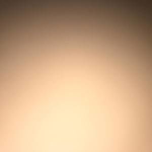 Meet your Posher, Bob